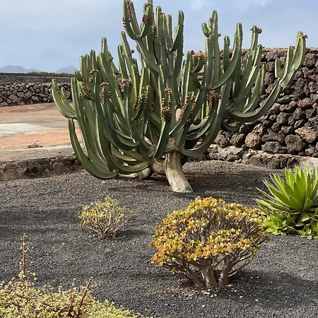 Timanfaya Villa *