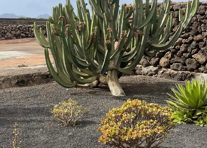 Timanfaya Villa *